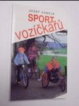 Sport vozíčkářů - náhled