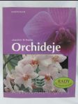 Orchideje - náhled