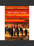 Když padají manga. Dobrovolníkem uprostřed válečného konfliktu (politika, dobrovolnictví, katolická mise, Afrika, Středoafrická republika) - náhled