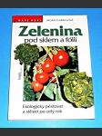 Zelenina pod sklem a folií - náhled