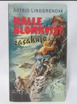 Kalle Blomkvist zasahuje - náhled