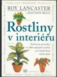 Rostliny v interiéru - náhled