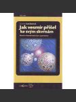 Jak vesmír přišel ke svým skvrnám (deník o konečném čase a prostoru) - náhled