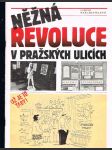 Něžná revoluce v pražských ulicích - náhled