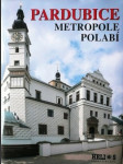 Pardubice - metropole polabí - náhled