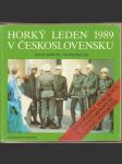 Horký  leden  1989  v  československu - náhled