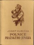 Polnice pražského junáka - náhled