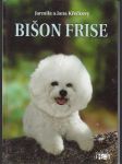 Bišon  frise - náhled