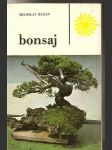 Bonsaj - náhled