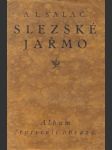 Slezské jařmo (album čtyřiceti obrazů) - náhled