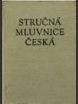 Stručná  mluvnice  česká - náhled