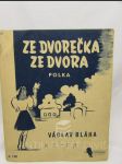 Ze dvorečka ze dvora - náhled