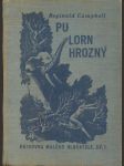 Pu lorn hrozný - román divokého slona - náhled