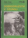 Dobrodružství v džungli - náhled