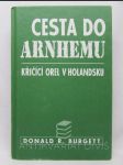 Cesta do Arnhemu - Křičící orel v Holandsku - náhled