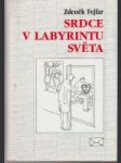 Srdce v labyrintu světa - náhled