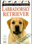 Labradorský retriever - náhled