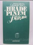 Presidentův vězeň na hradě plném bláznů - náhled