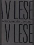 V lese - fotografie jiřího jahody  / katalog výstavy / - náhled