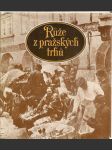 Růže z pražských trhů - černý petříček, paní katynka z vaječného trhu, bylo - náhled