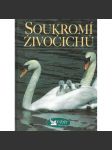 Soukromí živočichů - náhled