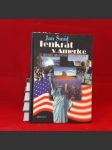 Tenkrát v Americe - náhled