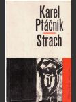 Strach - náhled