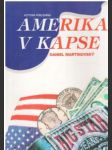 Amerika v kapse - náhled