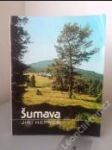 Šumava - náhled