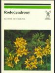 Rododendrony - náhled