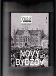 Zmizelé Čechy: Nový Bydžov - náhled