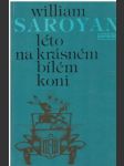 Léto na krásném bílém koni - náhled