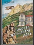 Biggles na vlastní pěst - náhled