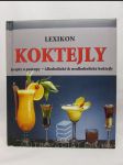 Lexikon: Koktejly - náhled