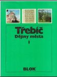 Třebíč: Dějiny města I. - náhled