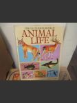 Animal Life - Ilustrovaný život zvířat - podpis - náhled