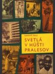 Svetlá v húšti pralesov - náhled