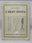 Z dílny života - Obrázky a úvahy - náhled