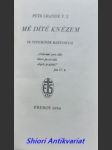 Mé dítě knězem - ze vzpomínek matčiných - lhande pierre s. j. - náhled