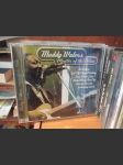 Muddy Waters - Master of the Blues - CD - náhled