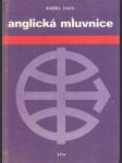 Anglická mluvnice - náhled