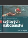 Malé kompendium světových náboženství [křesťanství, islám, buddhismus, hinduismus atd] - náhled