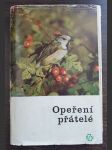 Opeření přátelé - náhled