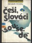 Češi, slováci a jejich sousedé - náhled