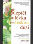 Slepičí polévka pro českou duši - náhled