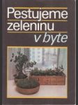 Pestujeme zeleninu v byte - náhled