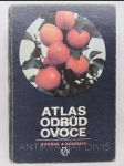 Atlas odrůd ovoce - náhled