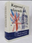 Kapesní slovník česko-anglický a anglicko-český s výslovností - náhled