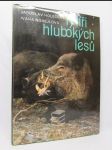 Rytíři hlubokých lesů - náhled