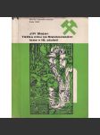 Těžba cínu ve Slavkovském lese v 16. století [hutnictví, kovy, Krásno a Horní Slavkov, Slavkovský les] - náhled